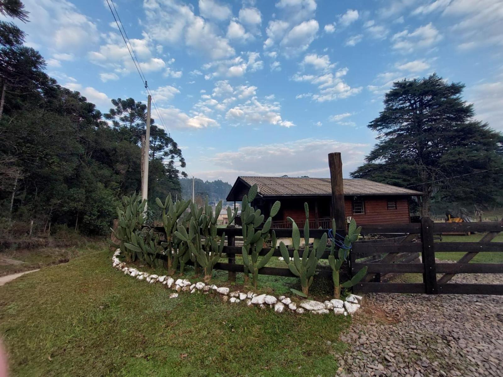 Cabanas Leao Da Tribo De Juda Canela Exteriör bild